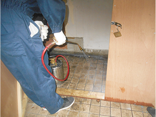 ゴキブリ害虫駆除